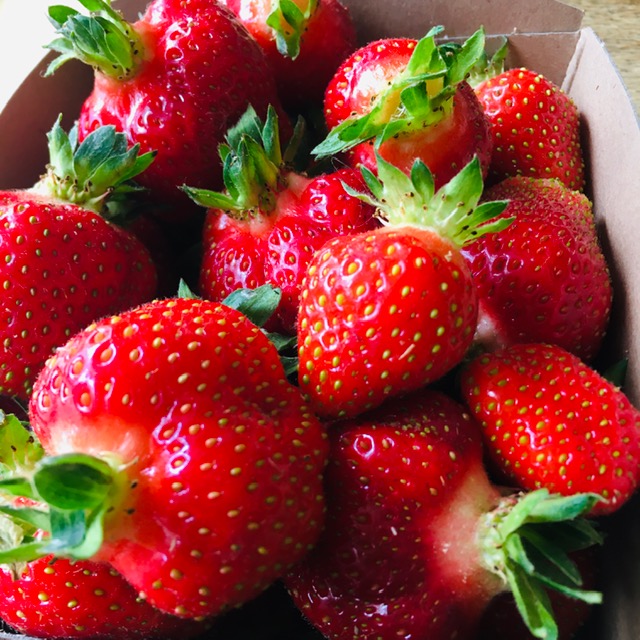 Fraises de la Molignée bio - 500g